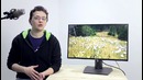 Хороший выбор. Asus PG27AQ – топовый 4к монитор