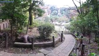Японский парк с Марико. Очень красивое место