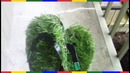 Топ 10 странных изобретений, которые действительно существуют. 2016