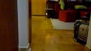 Котэ пуля