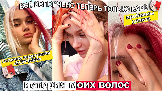 Испортила волосы. История моих волос “Отлично подстригли “кончики в каре и проблемы сплита