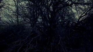 Primordial – To Hell or the Hangman (Official Video 2018)