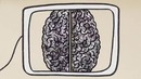 Ted ed – Польза знания второго языка для вашего мозга