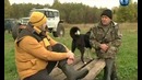 Планета собак. Русско-европейская лайка