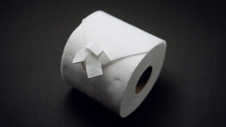 Origami Toilet Paper Fly (Jo Nakashima & Adriano Mariani)