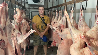 Тандыр Гушт! Мясо Барана в Тандыре по Узбекскии! Узбекистан. Sheep meat in Tandoor across Uzbek