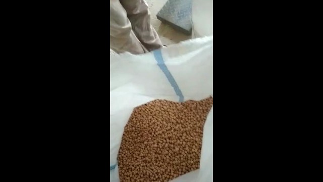 Sirdarya beans export llc