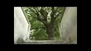 Элементы Паркура