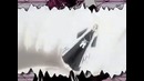 AMV po Bleach