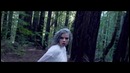 Steve Aoki feat. Fall Out Boy – Back To Earth (Official Video)