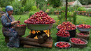 Cooking with Fresh Nectarines | Jam, Juice & Rustic Pie