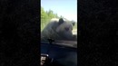 Экстрасенс | потрачено