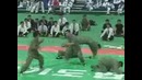 Боевое Тхэквондо (Хапкидо)
