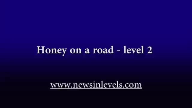 Honey on a road – level 2