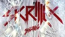 SKrillex – Bangarang (FT. SIRAH)