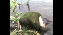 Классный Прикол