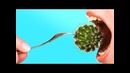 20 удивительных кулинарных идей на любой вкус