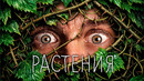 Вы НИЧЕГО не знаете о РАСТЕНИЯХ — ТОПЛЕС