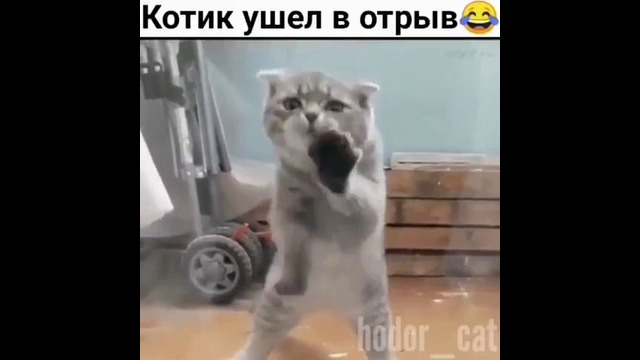 Ушол в атрив