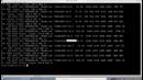 Самые популярные консольные команды Linux