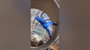 Running UPSIDE DOWN