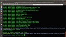 Codeclass: lumen 1 урок