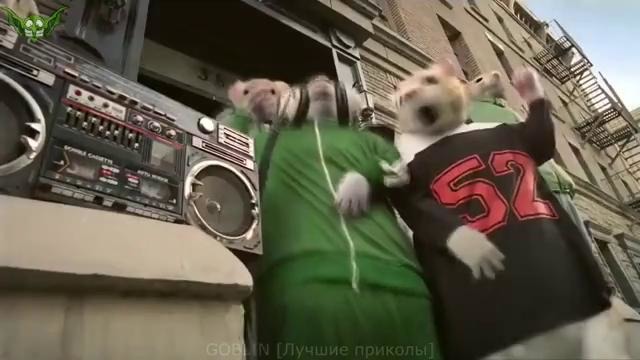 ЛУЧШИЕ ПРИКОЛЫ 2018 ФЕВРАЛЬ | Лучшая Подборка Приколов ТОПОВЫЕ Приколы # 239