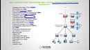 Видео уроки Cisco Packet Tracer. Курс молодого бойца. Урок 0