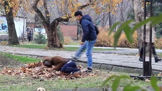 Пранк в Бишкеке. Избиваем Человека. Социальный эксперимент