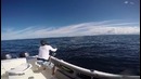 Emeraude Fishing – Popping & Jigging – X-trem – Season 2015