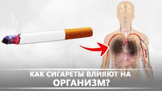 Как сигареты влияют на организм DeeaFilm