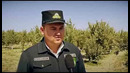 Бухоро вилояти Ўсимликлар карантини ҳудудий инспекцияси Олот ЎКЧМ фаолиятидан
