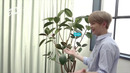 Colorful DANIEL – Ep.0 [рус. саб]