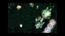 DotA Fever 3