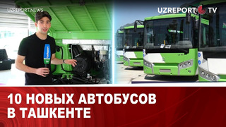 10 новых автобусов в Ташкенте