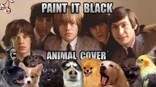 The Rolling Stones – Paint It Black (Animal Cover)
