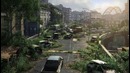 The Last of Us