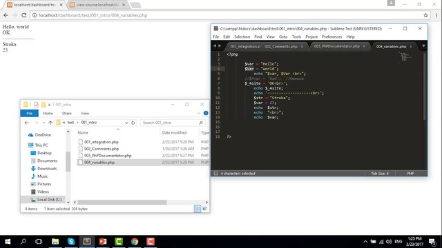 3. Первый опыт (PHP Starter)