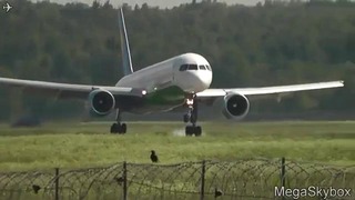 Uzbekistan Airways Boeing 757-200 посадка в москве-домодедова