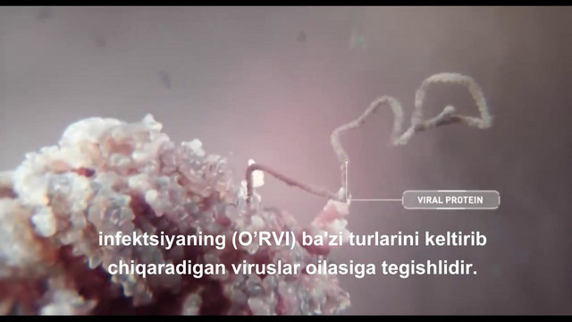 COVID 19 Koronavirusning tarqalishi