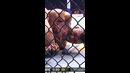 Johnny Walker Has Submissions Too #shorts #mma