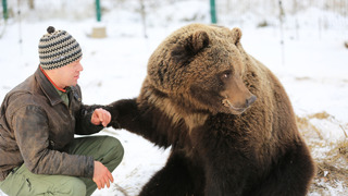 Летчик Андрей и медведь Мансур