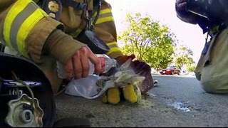 Героический поступок обычного пожарного запечатлела камера GoPro
