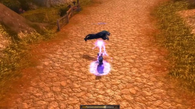 Нам не страшен серый лок! PvP Гайд по Чернокнижнику (Разрушение, Колдовство)