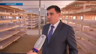 Shavkat Mirziyoyevning Surxondaryoga tashrifi (19.01.2018)