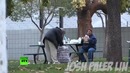 Что будет если дать бездомному 100 доллоров