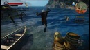 The Witcher 3 Wild Hunt: AMD FX 6300, Radion R9 280 XFX 3gb Edition