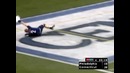 Great Catch by Brent Anderson
