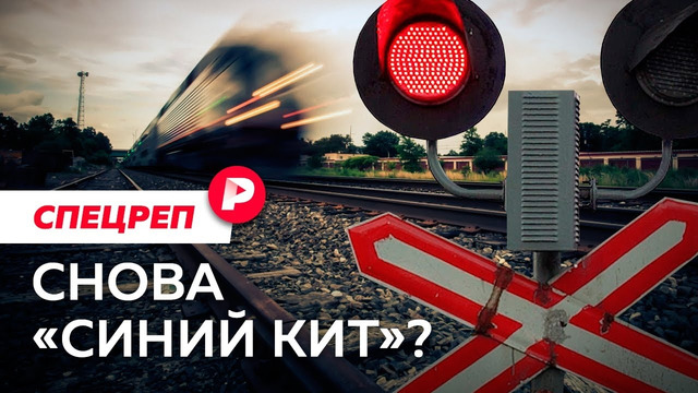 «Группа смерти» или банальность зла: что известно о тройном суициде под Липецком / Редакция спецреп