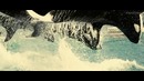 Ржавчина и кость (De rouille et d’os) – русский трейлер